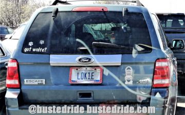 LOK1E - Vanity License Plate by Busted Ride
