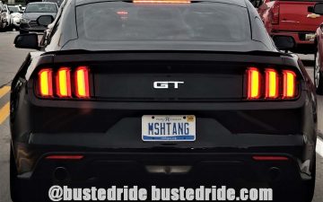 MSHTANG - Vanity License Plate by Busted Ride