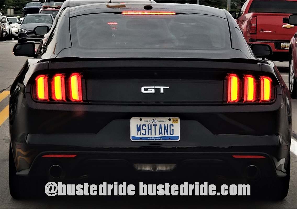 MSHTANG - Vanity License Plate by Busted Ride