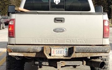 SAVEEM - Vanity License Plate by Busted Ride