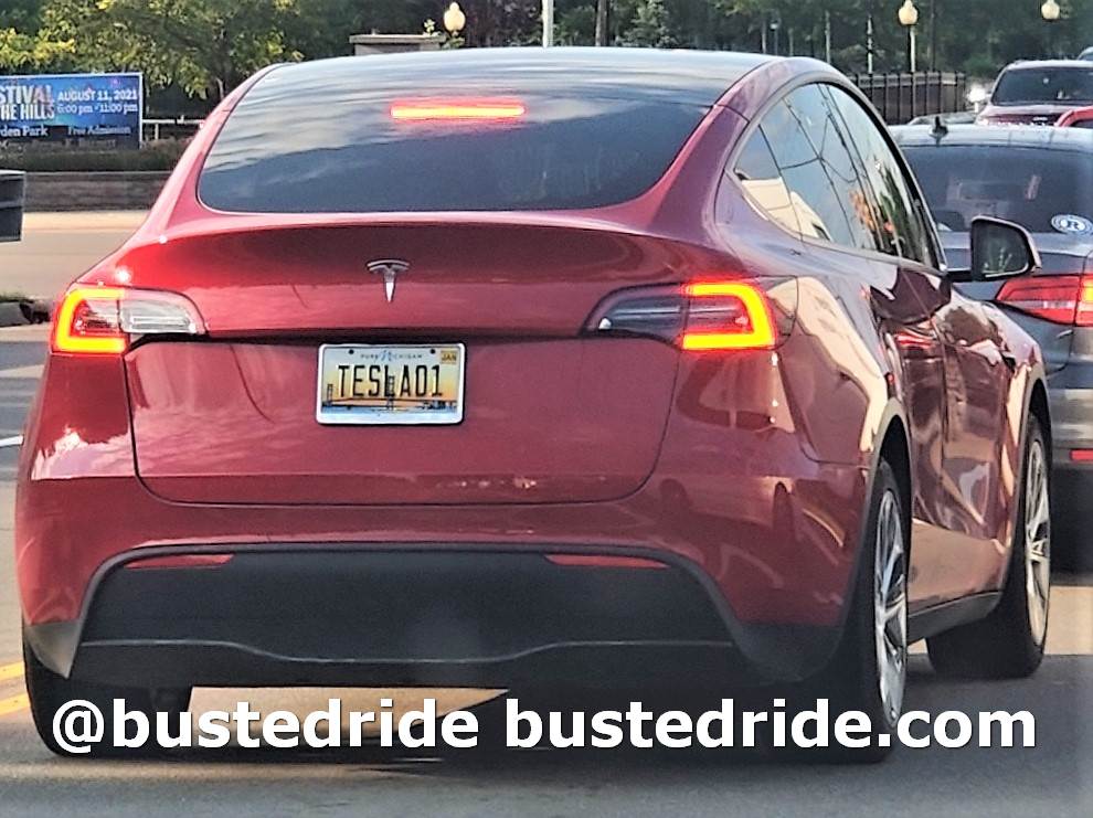 TESLA01 - Vanity License Plate by Busted Ride