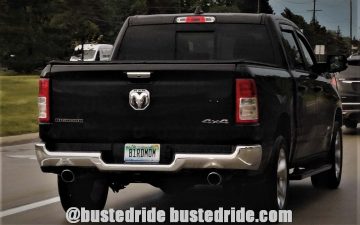 B1RDMOM - Vanity License Plate by Busted Ride