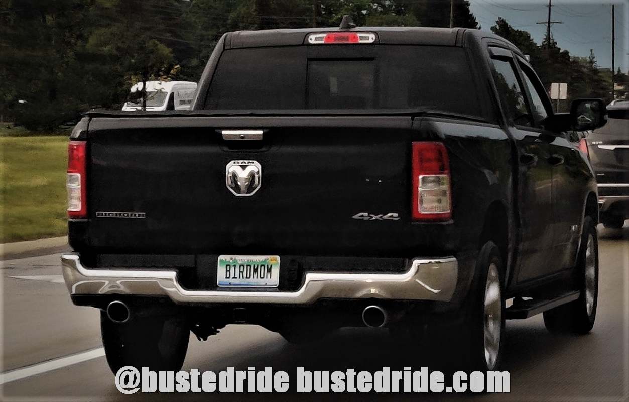 B1RDMOM - Vanity License Plate by Busted Ride