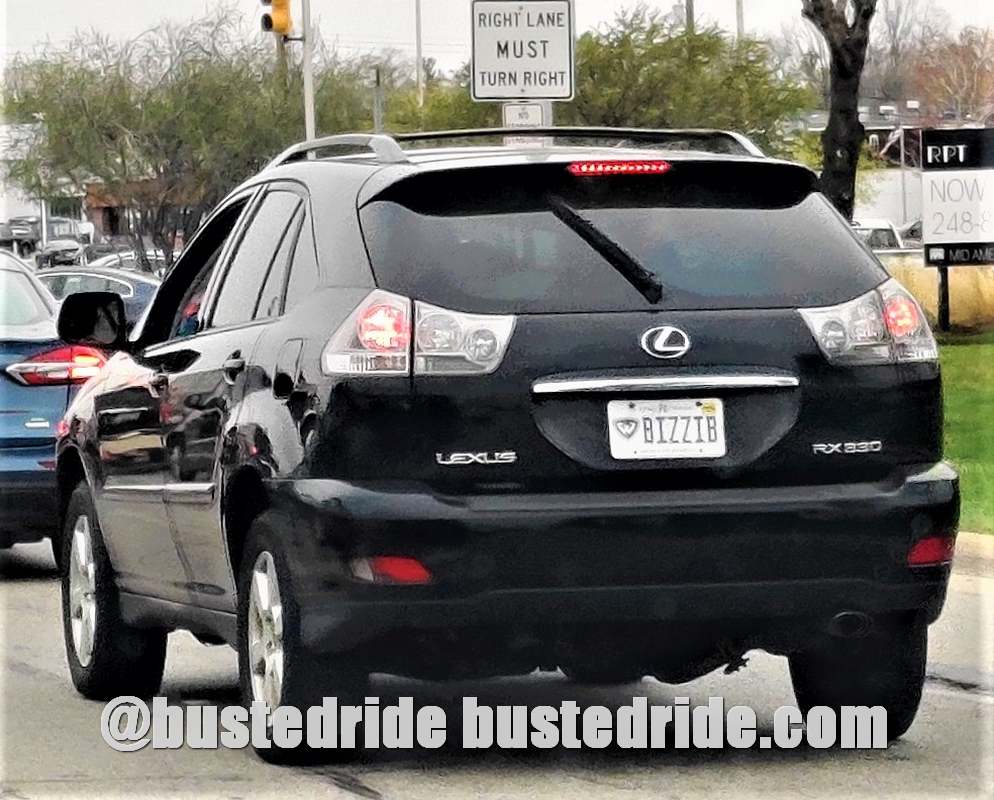 BIZZIBI - Vanity License Plate by Busted Ride
