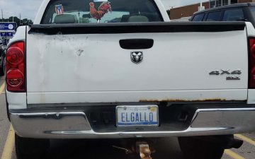 ELGALLO - Vanity License Plate by Busted Ride