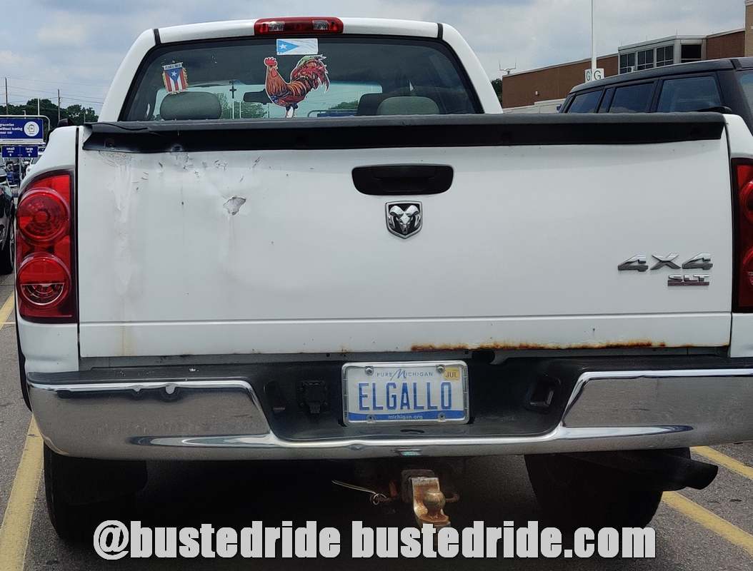 ELGALLO - Vanity License Plate by Busted Ride