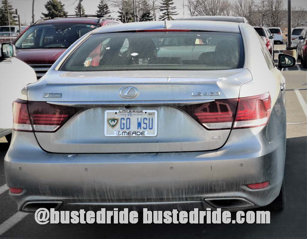 GO WSU - Vanity License Plate by Busted Ride