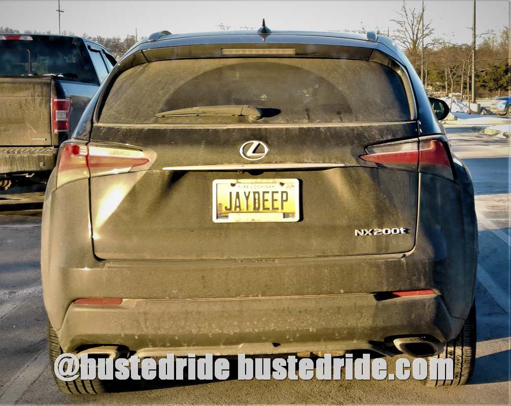 JAYDEEP - Vanity License Plate by Busted Ride