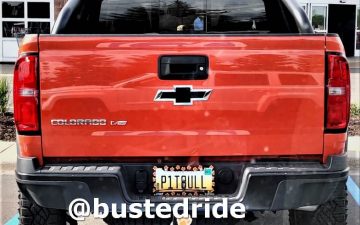 P1T8ULL - Vanity License Plate by Busted Ride