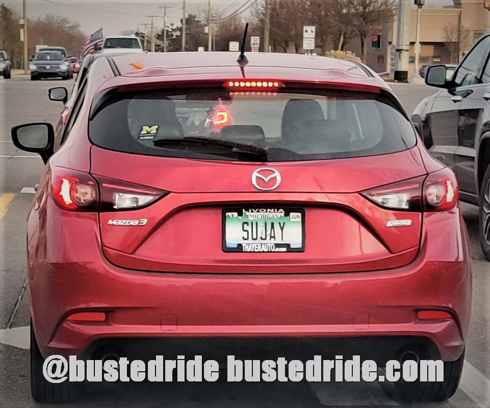 SUJAY - Vanity License Plate by Busted Ride