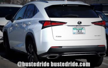 TWID - Vanity License Plate by Busted Ride