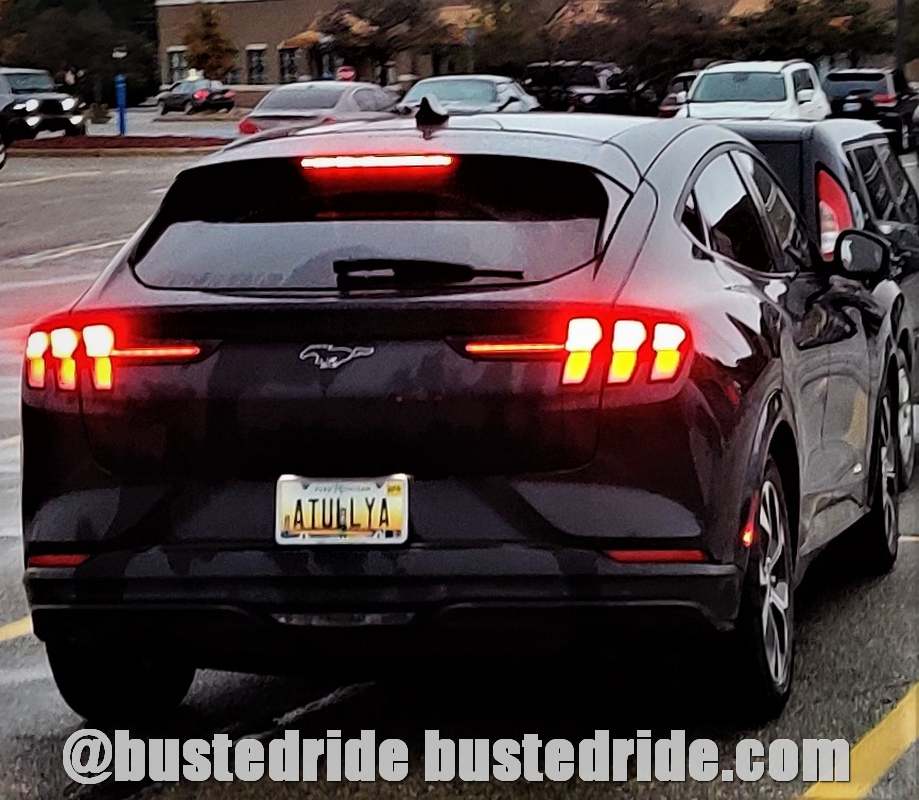 ATULLYA - Vanity License Plate by Busted Ride
