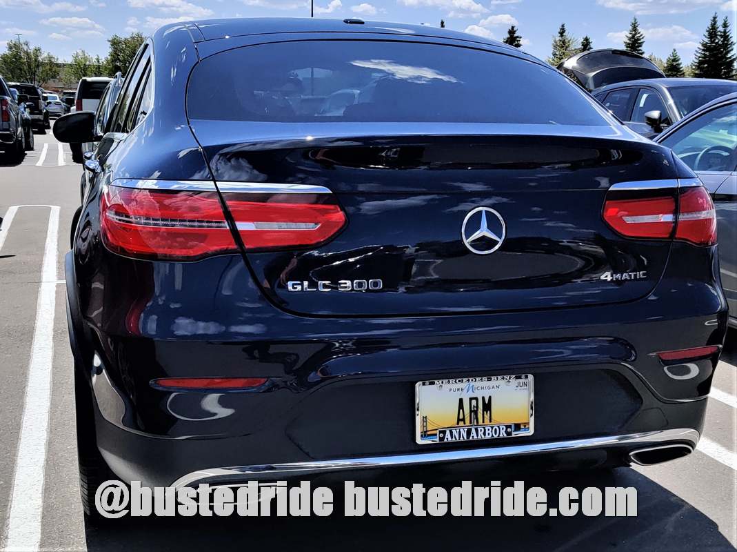 ARM - Vanity License Plate by Busted Ride