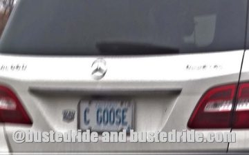 C GOOSE - Vanity License Plate by Busted Ride