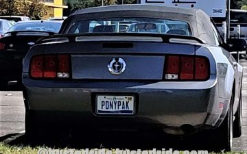 PONYPAK - Vanity License Plate by Busted Ride