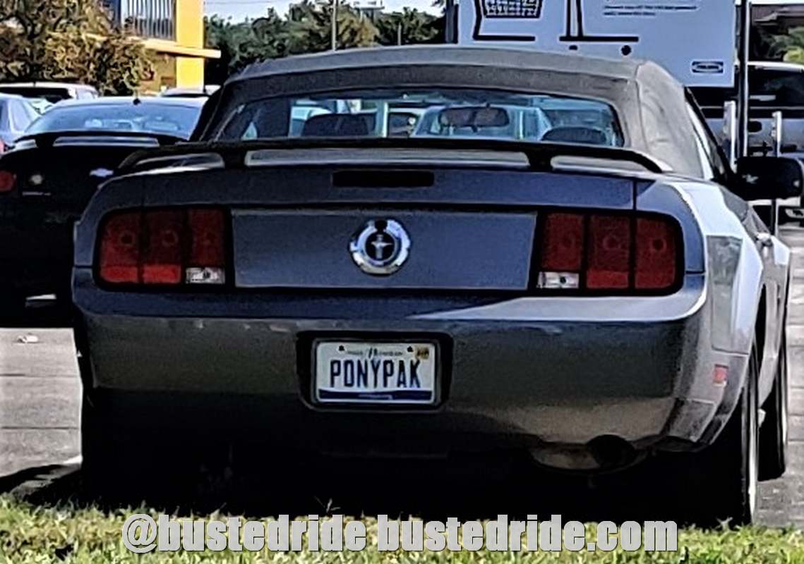 PONYPAK - Vanity License Plate by Busted Ride