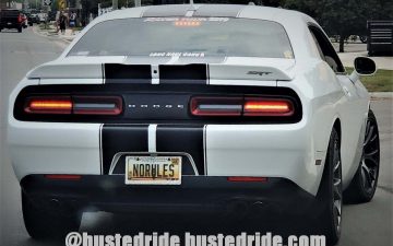 NORULES - Vanity License Plate by Busted Ride
