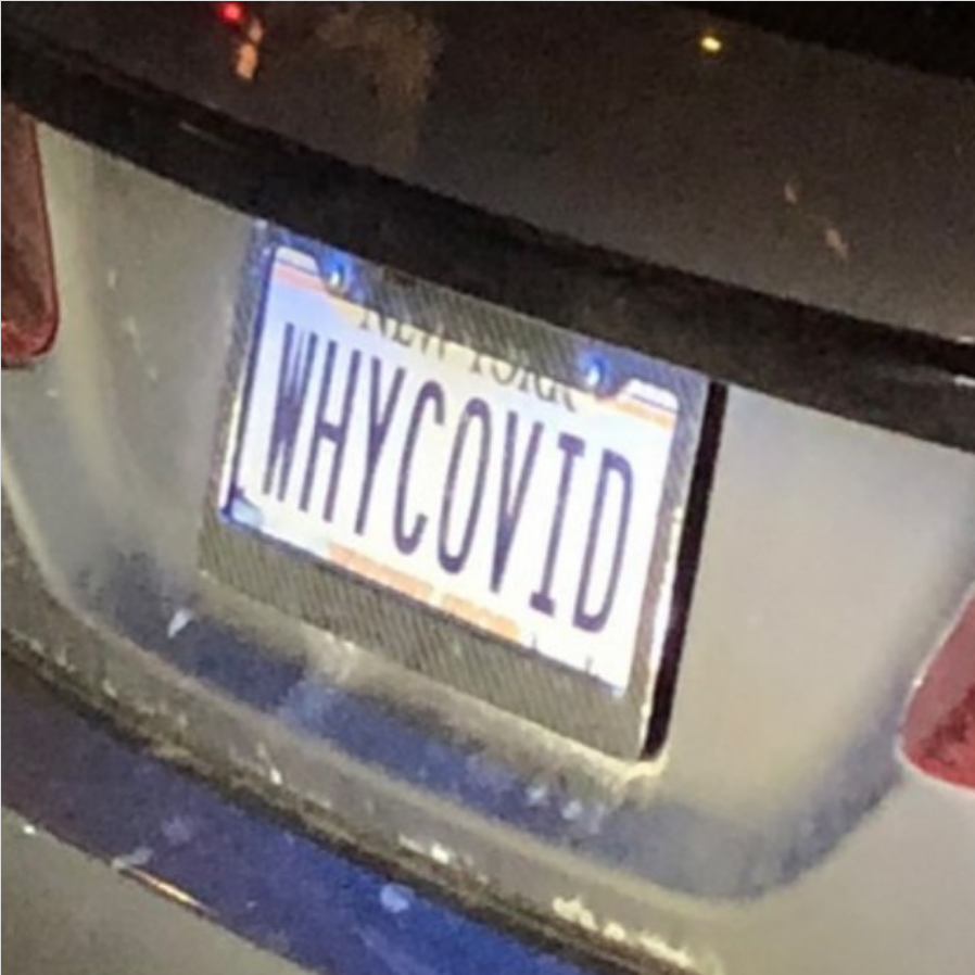 WHYCOVID - Vanity License Plate by Busted Ride