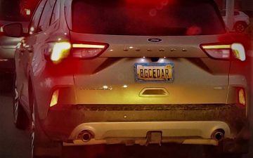 BGCEDAR - Vanity License Plate by Busted Ride