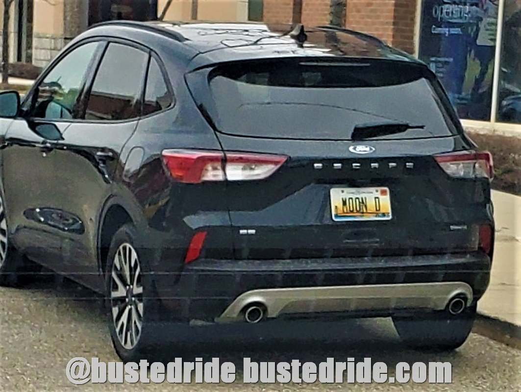 MOON  D - Vanity License Plate by Busted Ride