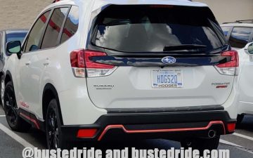 HDGS20 - Vanity License Plate by Busted Ride