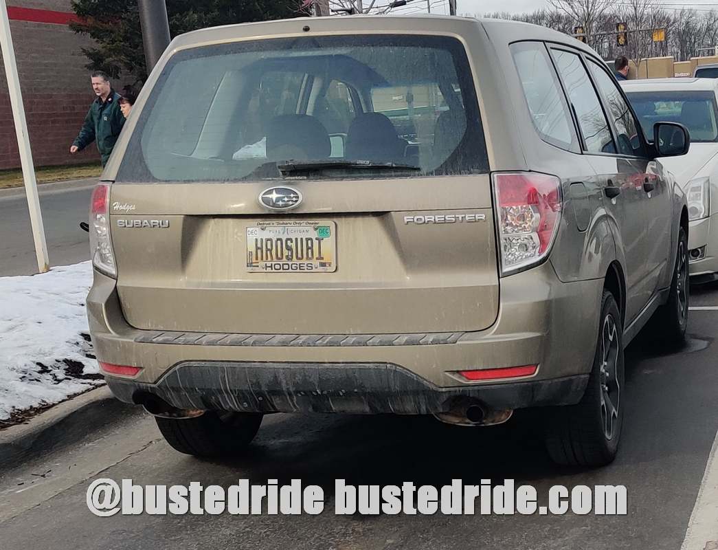 HROSUBI - Vanity License Plate by Busted Ride