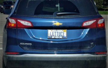 LETTUCE - Vanity License Plate by Busted Ride