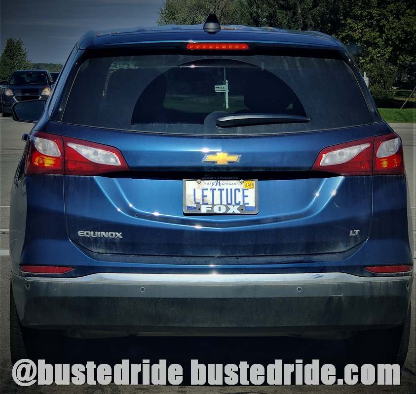 LETTUCE - Vanity License Plate by Busted Ride