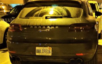 LIFE16 - Vanity License Plate by Busted Ride