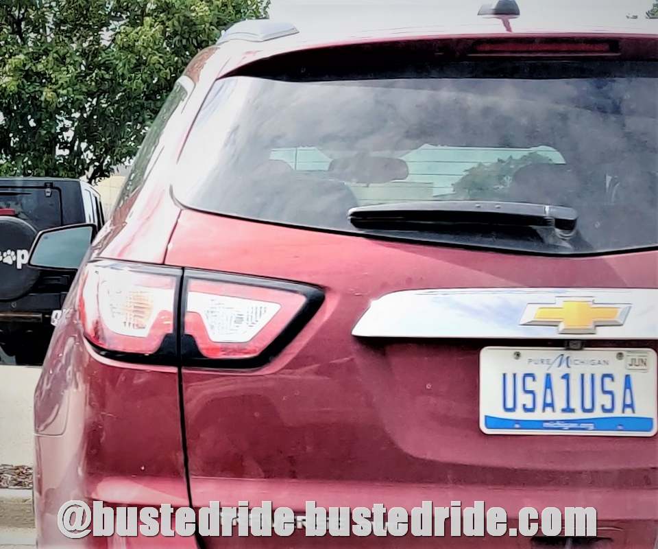 USA1USA - Vanity License Plate by Busted Ride