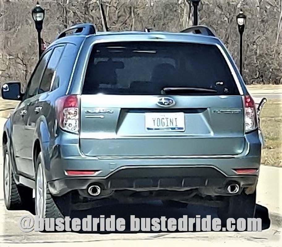 YOGINI - Vanity License Plate by Busted Ride