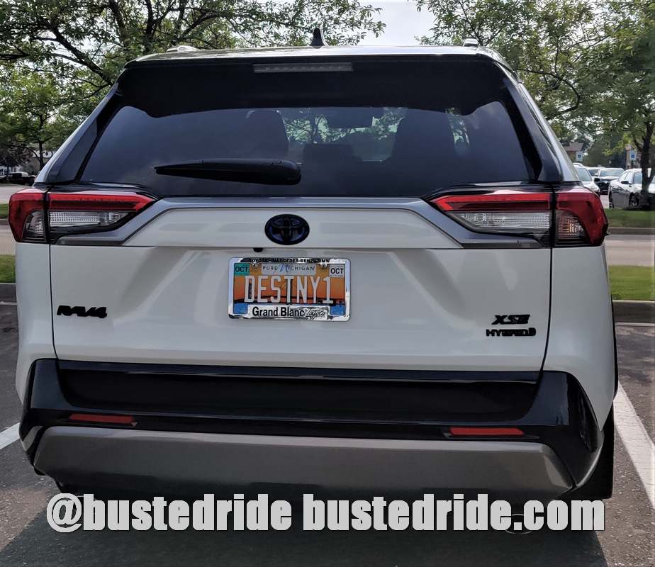 DESTNY1 - Vanity License Plate by Busted Ride