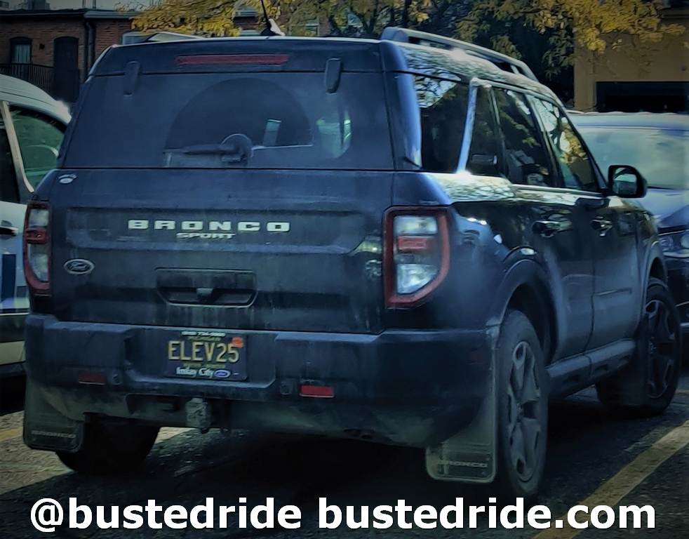 ELVE25 - Vanity License Plate by Busted Ride