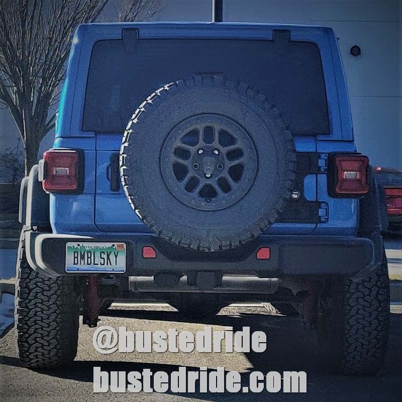 BMBLSKY - Vanity License Plate by Busted Ride