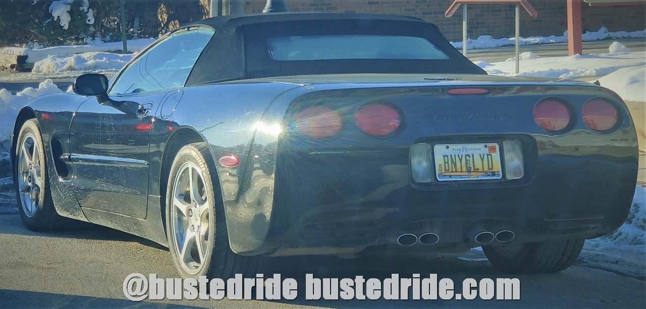 BNYGLYD - Vanity License Plate by Busted Ride