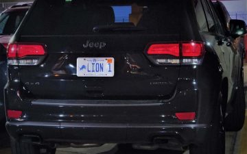 LION 1 - Vanity License Plate by Busted Ride