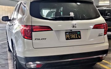 PETREE4 - Vanity License Plate by Busted Ride