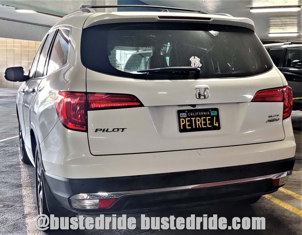 PETREE4 - Vanity License Plate by Busted Ride