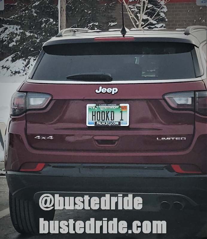 HOOKD 1 - Vanity License Plate by Busted Ride