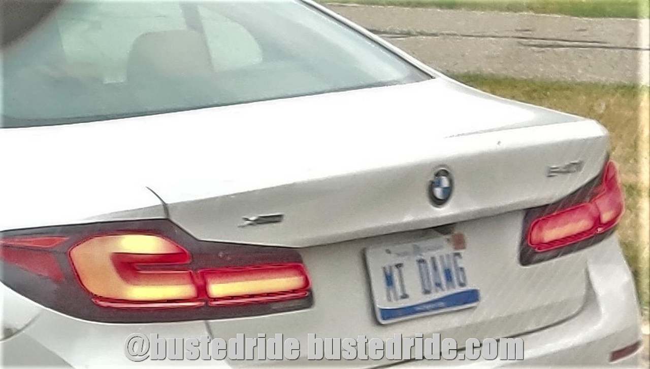 MI DAWG - Vanity License Plate by Busted Ride