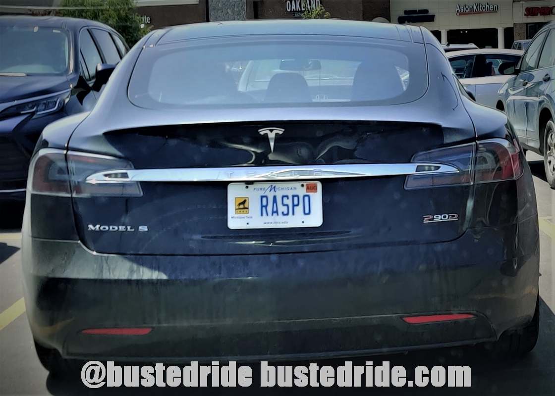 RASPO - Vanity License Plate by Busted Ride