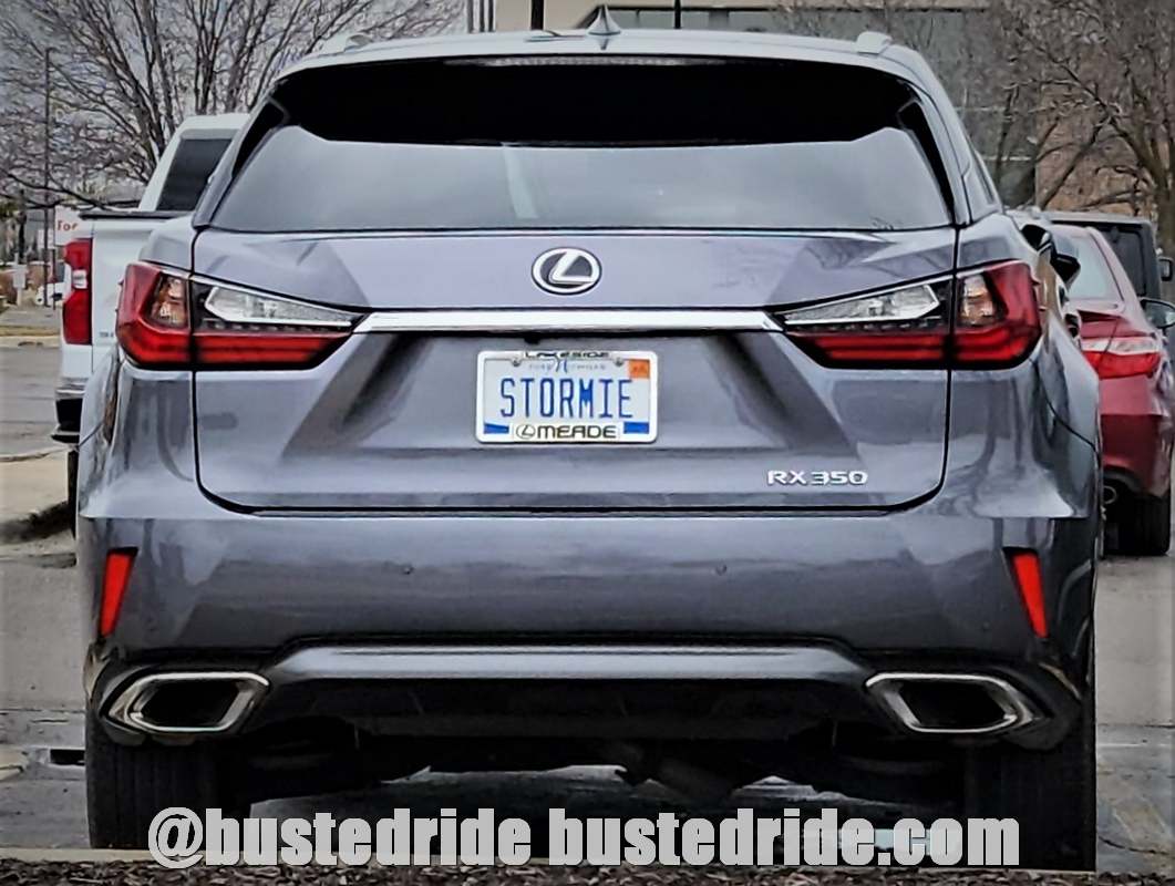 STORMIE - Vanity License Plate by Busted Ride