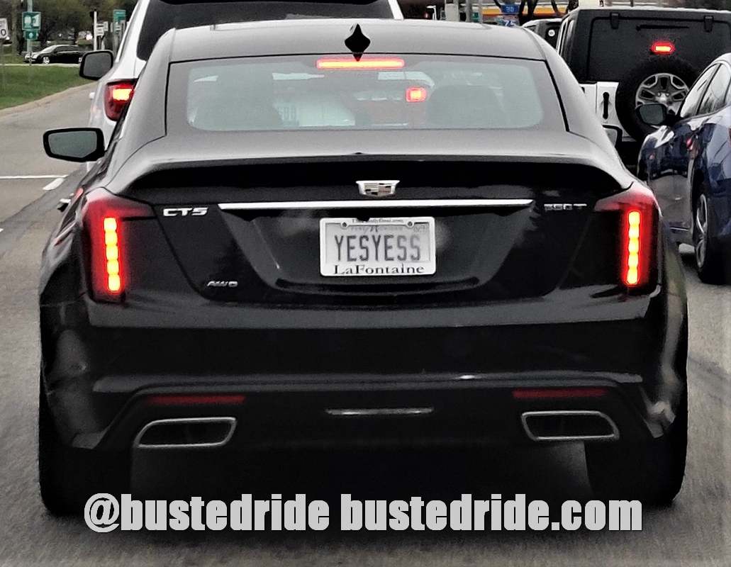 YESYESS - Vanity License Plate by Busted Ride