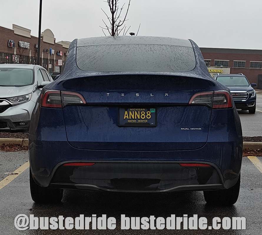 ANN88 - Vanity License Plate by Busted Ride