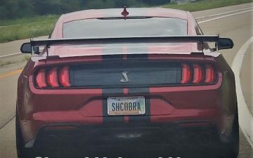 SHCOBRA - Vanity License Plate by Busted Ride