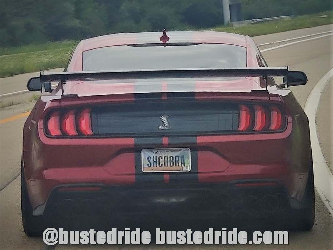 SHCOBRA - Vanity License Plate by Busted Ride