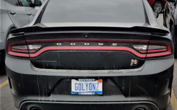 GOLYONZ - Vanity License Plate by Busted Ride