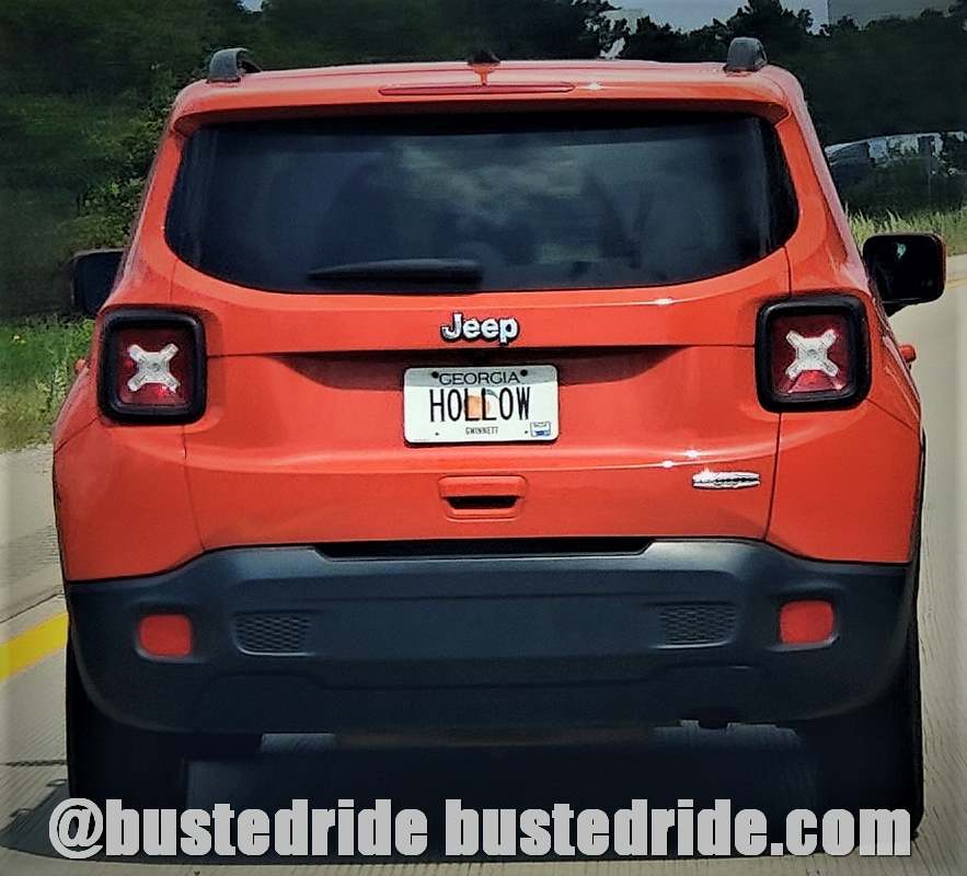 HOLLOW - Vanity License Plate by Busted Ride